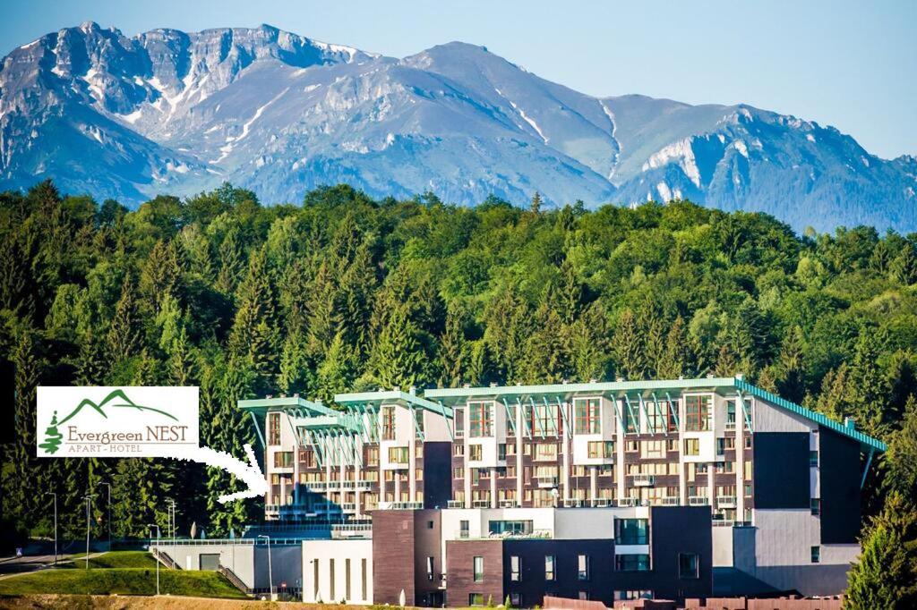 The Evergreen Nest - Silver Mountain ポイアナ・ブラショフ エクステリア 写真