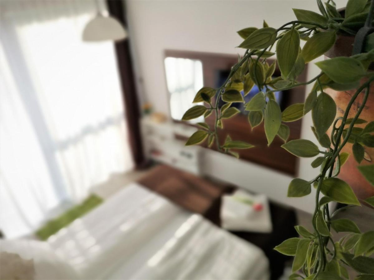 The Evergreen Nest - Silver Mountain ポイアナ・ブラショフ エクステリア 写真