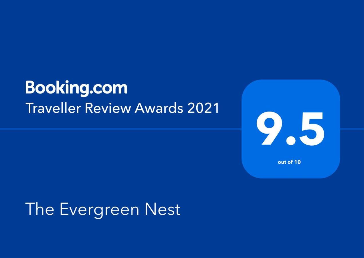 The Evergreen Nest - Silver Mountain ポイアナ・ブラショフ エクステリア 写真