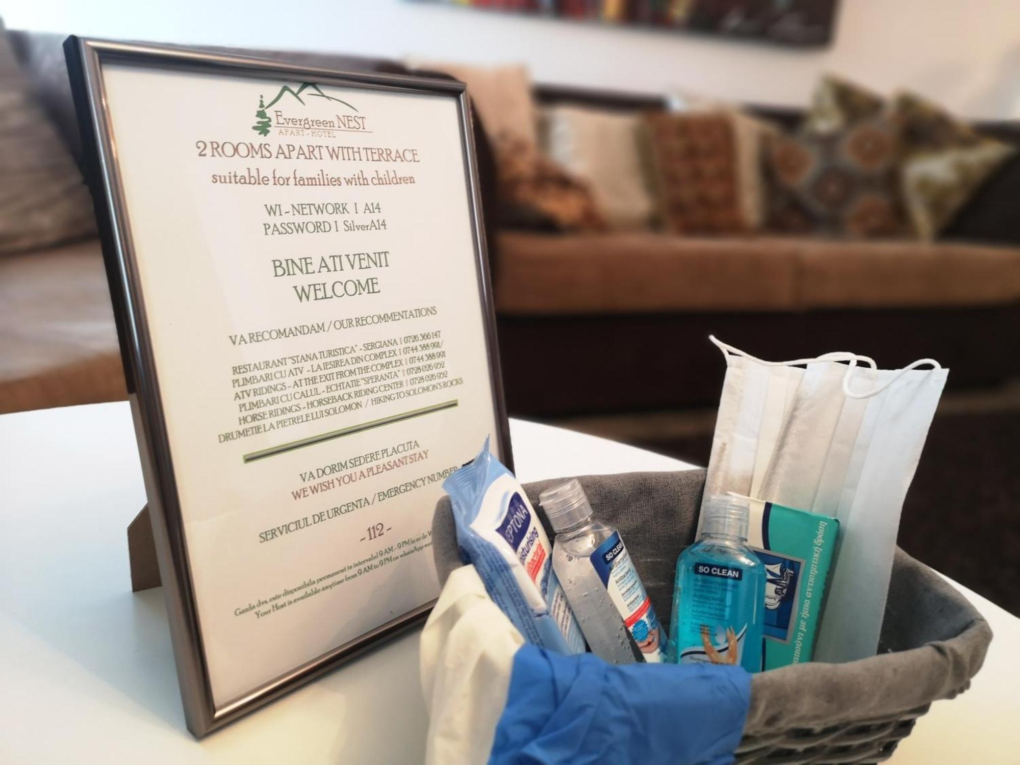 The Evergreen Nest - Silver Mountain ポイアナ・ブラショフ 部屋 写真