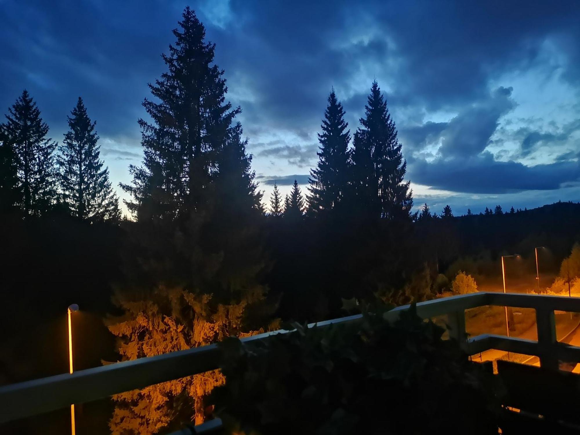 The Evergreen Nest - Silver Mountain ポイアナ・ブラショフ 部屋 写真